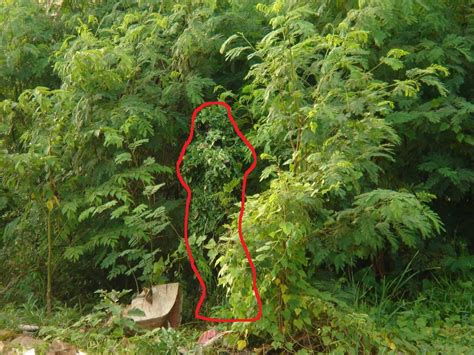 Can You Spot Any Of These 14 Tactical Snipers That Are Hidden In Plain ...