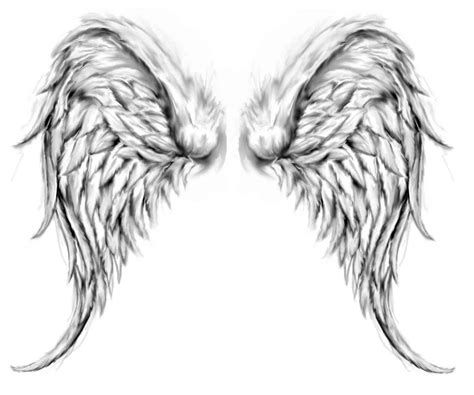 Angel Wings - Beautiful Images and Symbols of Angels' Wings