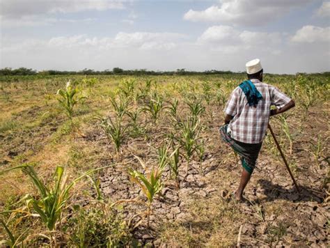 One Of The Worst Droughts In Ethiopia's History Is Going Unnoticed