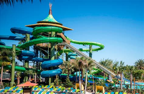 Which Florida Water Park Has the Most Thrilling Slide?