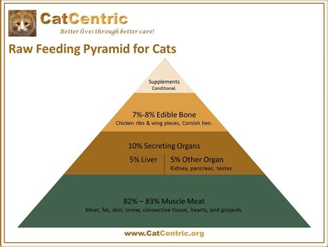 Cat Food Nutrition Guide