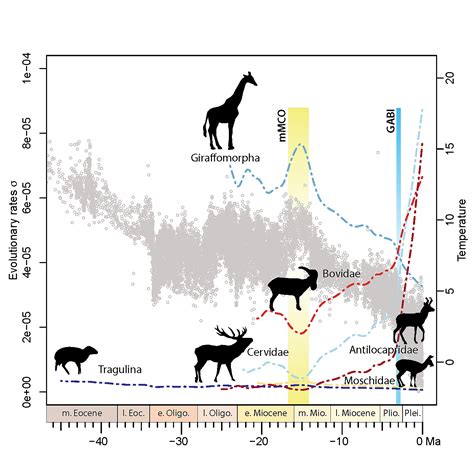 Can you hear the whispers? Inner ear captures 35 million year of ...