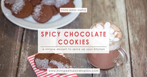 Spicy Chocolate Cookies | Living Well Spending Less®