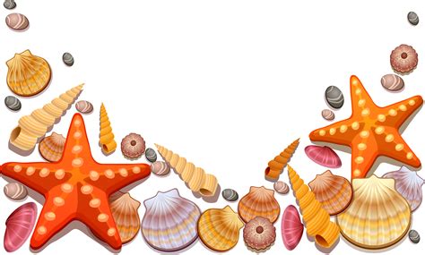 Portable Network Graphics Clip art Vector graphics Seashell ...