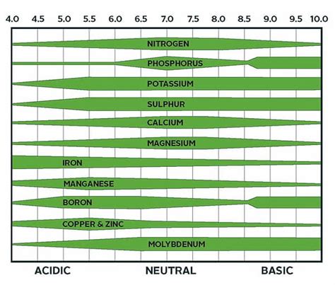 Factors influencing nutrient availability: soil pH – NutriAg