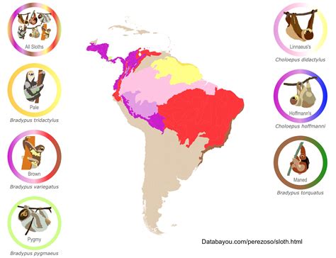 Sloth Species Distribution Map