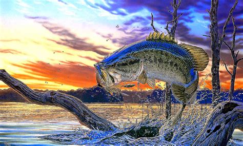 🔥 [50+] Largemouth Bass Fishing Wallpapers | WallpaperSafari