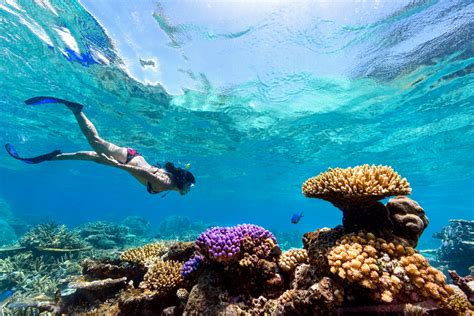 21 amazing shot of Rainbow Reef in Fiji