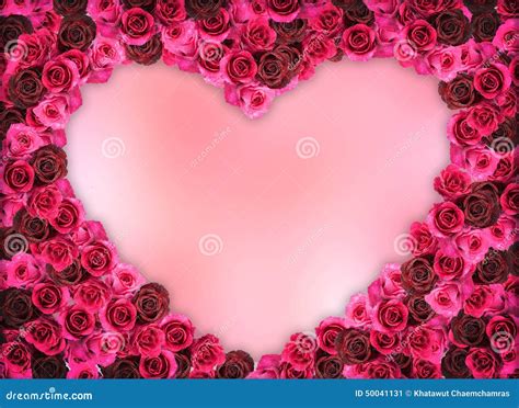 Group Of Dry Red Rose Petals On White Background Stock Image ...