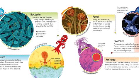 5 Fantastically Gross Bacteria Facts - Penguin Books Australia