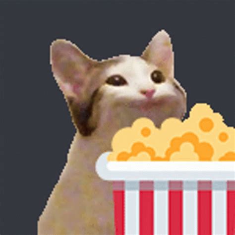 a cat that is sitting in front of a popcorn box with some food on it