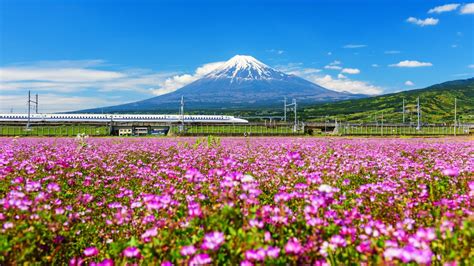 Places in Japan Where the Locals Hang Out! - Japan Rail Pass