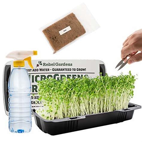 Microgreens Growing Kit - Organic Non GMO Seeds - Indoor Sprouting ...