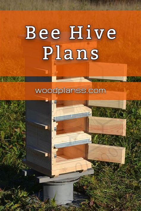 Diy Bee Hive Plans | Bee hive plans, Advanced woodworking plans, Diy ...