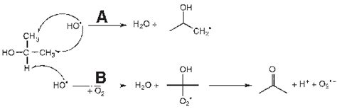 Hydroxyl radical can abstract a hydrogen atom from either of the methyl ...