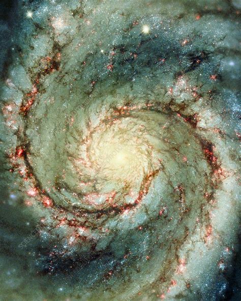 M51 whirlpool galaxy - Stock Image - R854/0050 - Science Photo Library