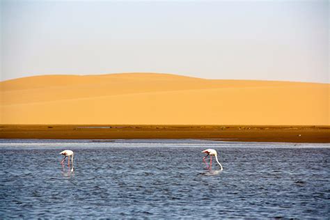 Walvis Bay lagoon Ramsar site | Juha Uitto | Flickr