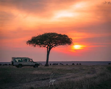 Maasai Mara Sunsets, : r/Kenya