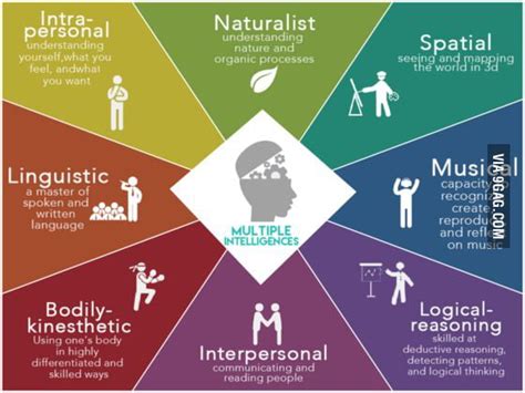 The Nine Types of Intelligence. What about U? Type 10 : Noob! (Stupid ...