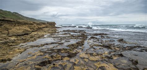 Testing Climate Change in a Tide Pool | Hakai Magazine