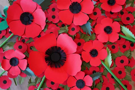 Paper-based poppy replaces plastic for Poppy Appeal 2023 - REB Market ...