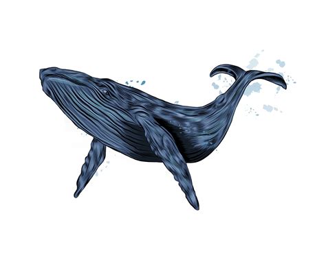 Top 144+ blue whale drawing - vietkidsiq.edu.vn