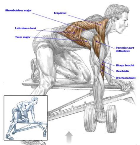 DB Row Variations - Wrestler-Power.com