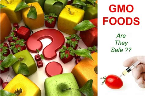 What are GMO foods and what are their pros and cons