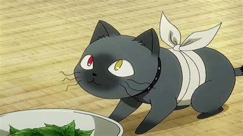 Top 50 Best Anime Cats [Most Popular of All Time]