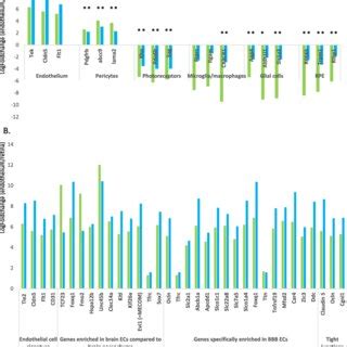 Endothelial cell markers are enriched in purified endothelial cells ...