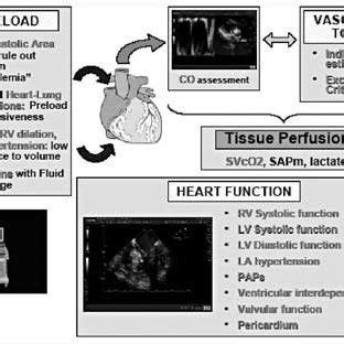 -Signs of pulmonary venous congestion. | Download Scientific Diagram