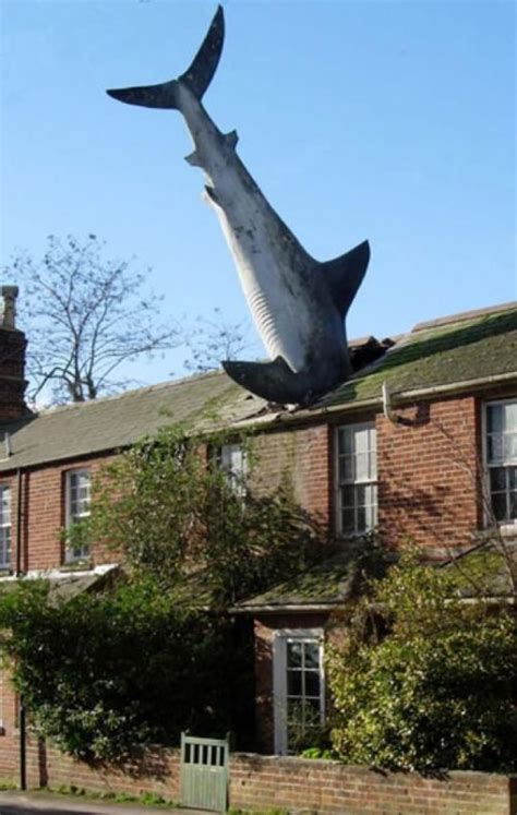 The Headington Shark de John Buckley | La guía de Historia del Arte