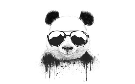 Download wallpapers funny panda, 4k, cartoon animals, minimal, white ...