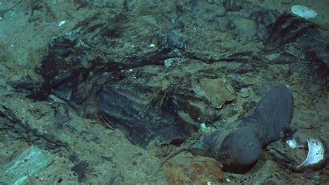 Human remains pictured at Titanic shipwreck site | Daily Telegraph