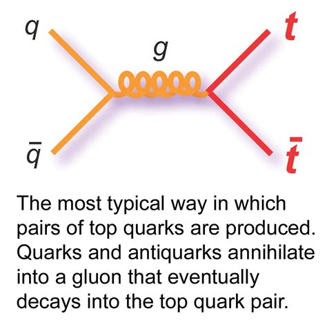 the most typical way in which pairs of top quarks are produced, quarks ...