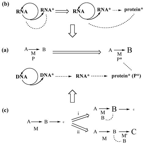 Theory Evolution: Rna World Theory Evolution