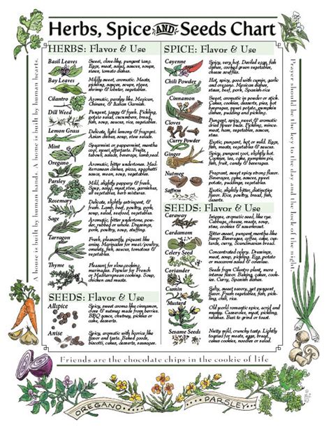 LAMINATED Healing Herbs/Spices Kitchen Charts | Etsy