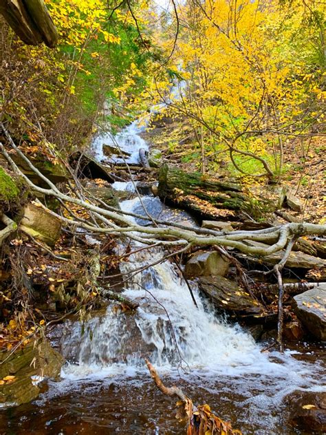 Fall Foliage and Hiking in Manchester, Vermont - Lyssy in the City