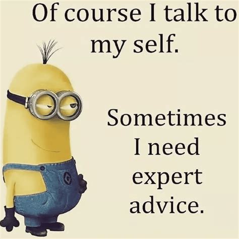 50 Funny Minions Picture Quotes Funny Memes – NBKomputer