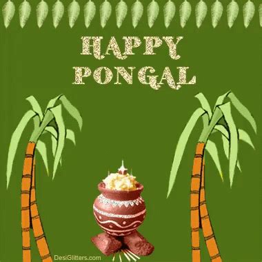 Happy Pongal GIF - Happy Pongal - Discover & Share GIFs