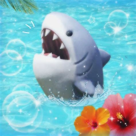 🌴Tropical shark pfp #3🌺 | Cute shark, Shark pictures, Beautiful sea ...