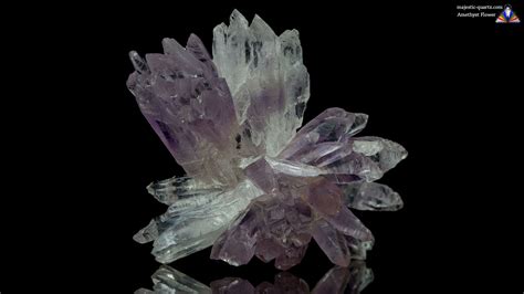 Amethyst Flowers Properties and Meaning + Photos | Crystal Information