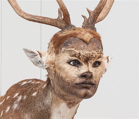 My Monster: The Human Animal Hybrid | Exhibitions | RMIT Gallery