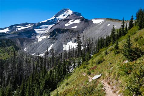 The 11 Best Hikes at Mount Hood: A Complete Hiking Guide