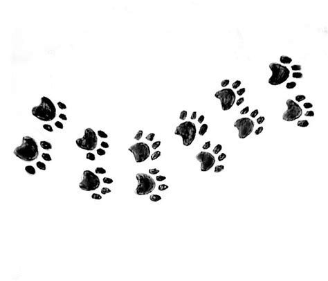 How To Draw Paw Prints in 6 Steps 🐾 | Drawing Dog | Paw drawing, Paw ...