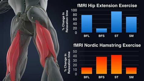 Nordic Workout | Blog Dandk