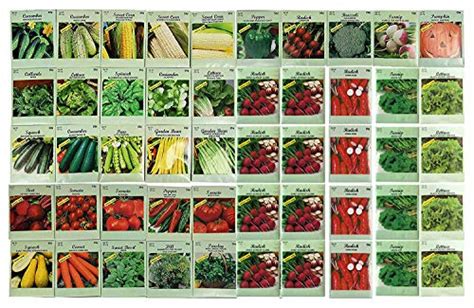 50 Packs Assorted Heirloom Vegetable Seeds 20+ Varieties All Seeds are ...