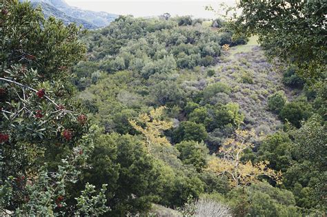 Chaparral Biome, California Photograph by Earl Scott