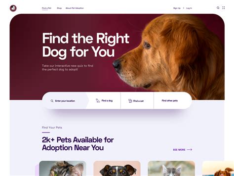 Pet Adoption Website | Pet adoption, Dog adoption, Pets