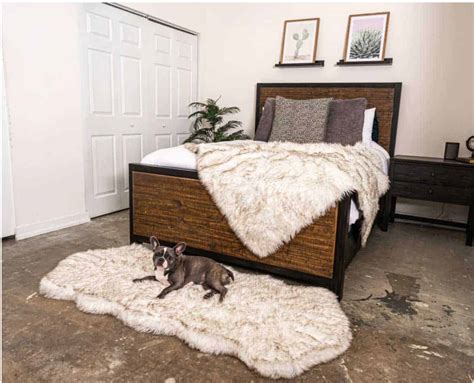 12 Fancy Dog Beds to Suit Your Style and Decor - The Opulent Hound